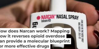 Naloxone competes with opioids for the same receptor on the surface of neurons. Matt Rourke/AP Photo